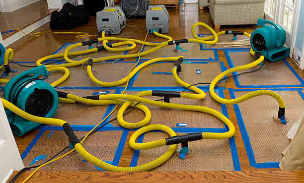 Professional Basement Flood Cleanup technician working in Osage Beach, MO